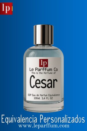 Finos Perfumes de Equivalencia LP Personalizados 100ml